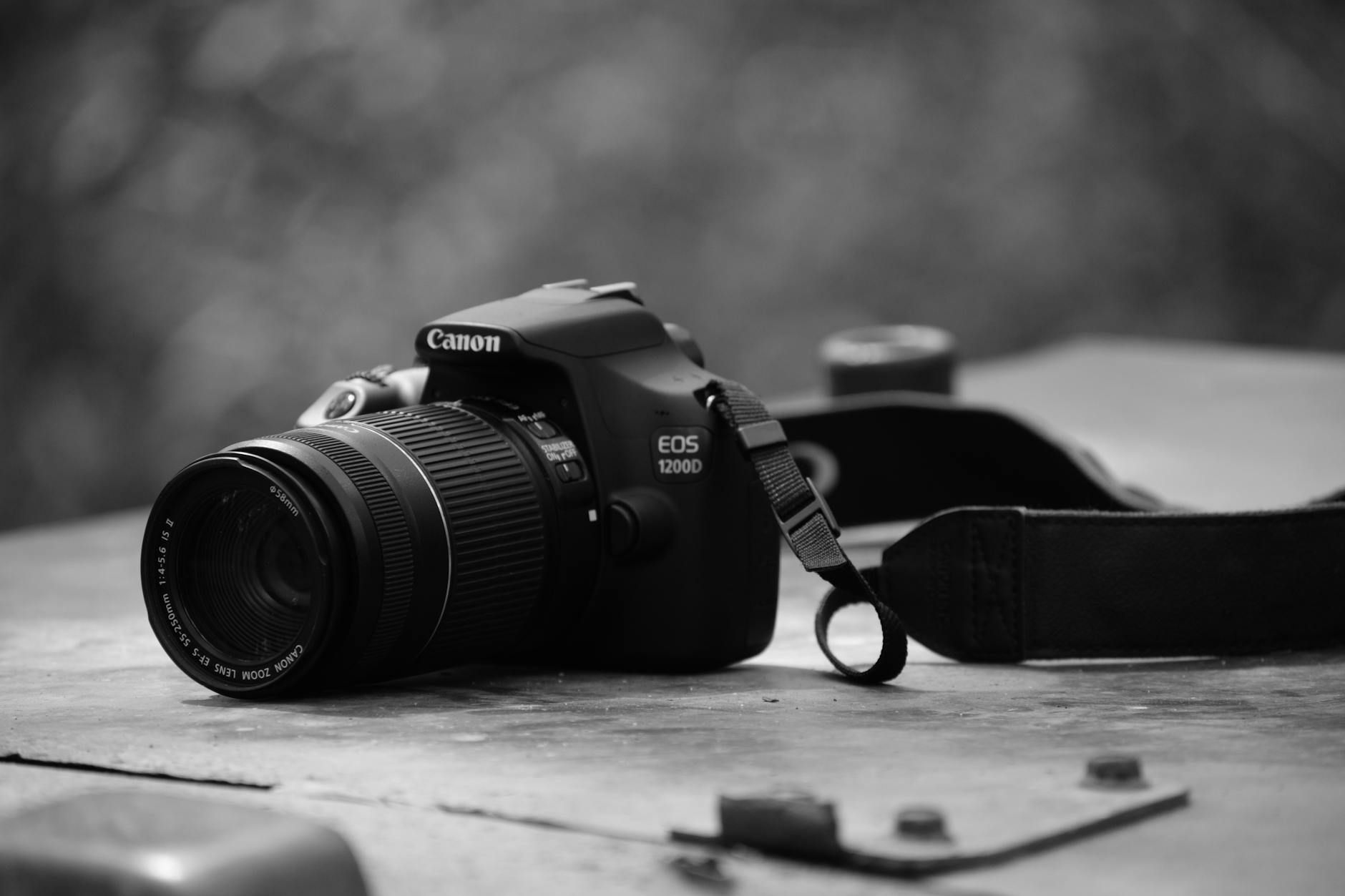 Canon: Capturing Moments, Crafting Stories